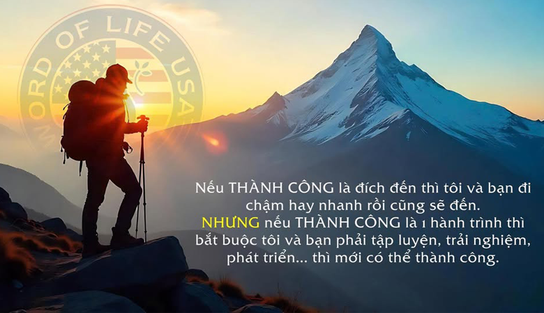 Bài viết